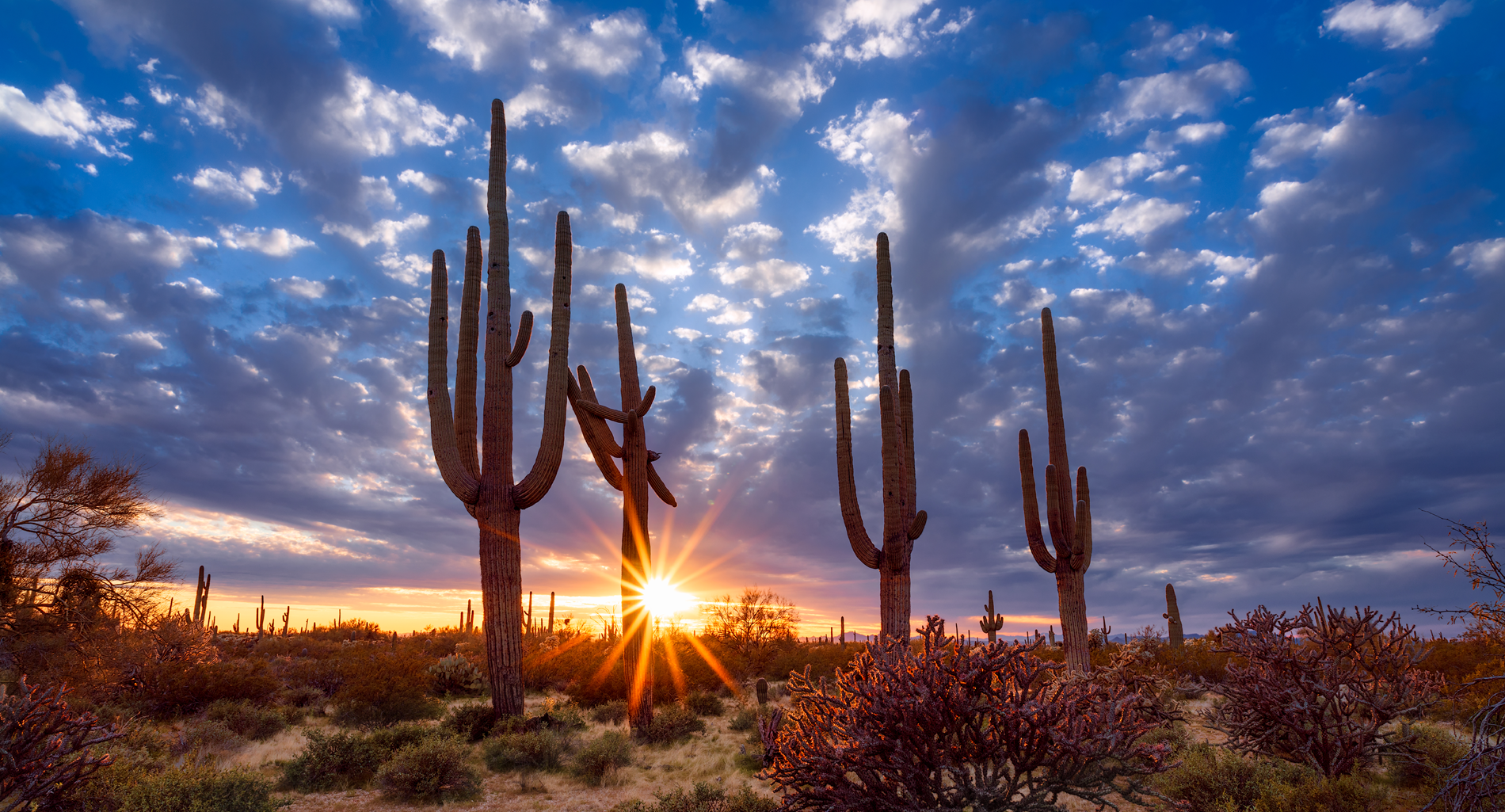Member Conversation: Connecting Through Conferences