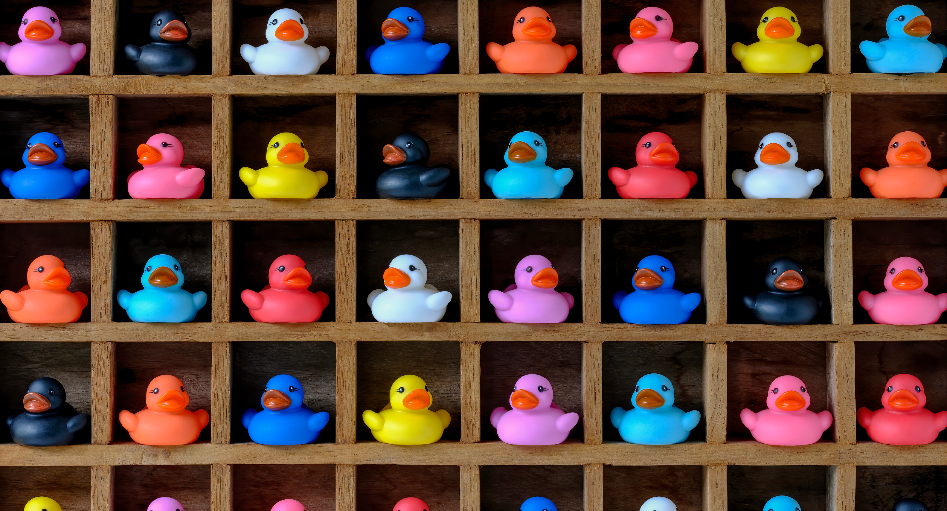 What does diversity mean in higher education? And how do we visually articulate it?