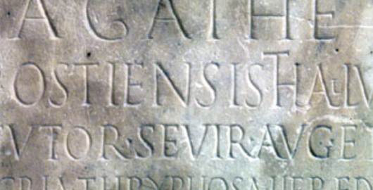 Type Terminology