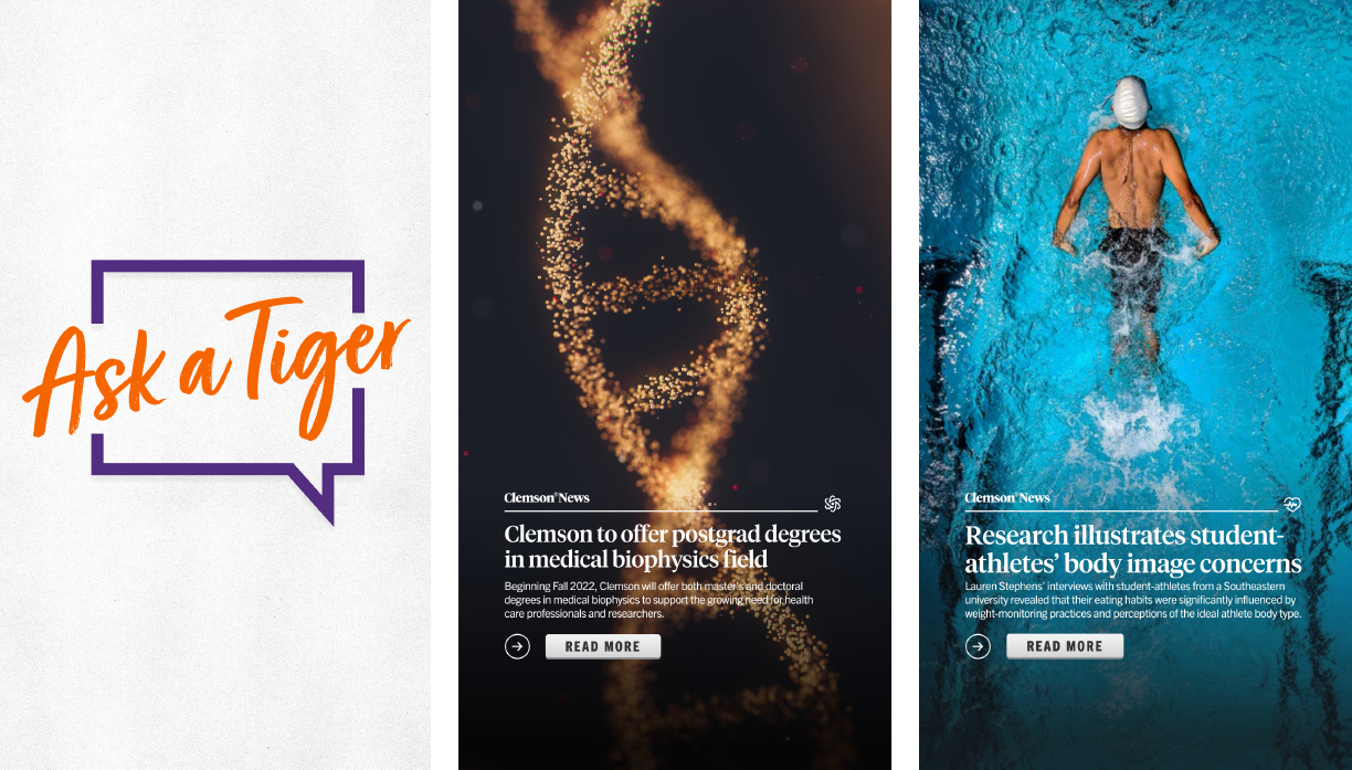 Clemson University images of winning entry