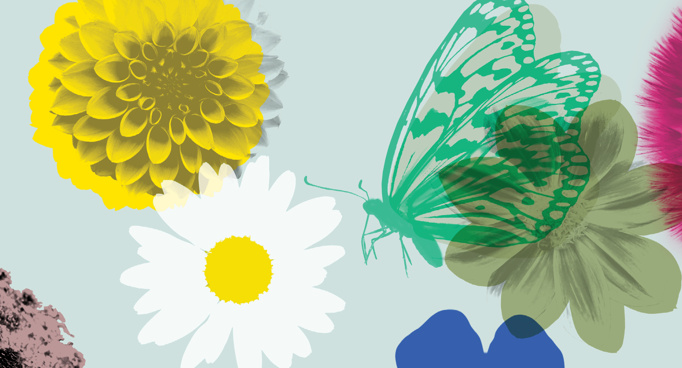 Award-winning Boston University’s Creative Team Design with Collaboration, Feedback, and Trust