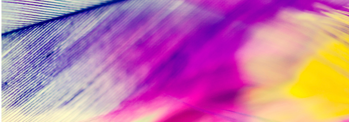 page header page header