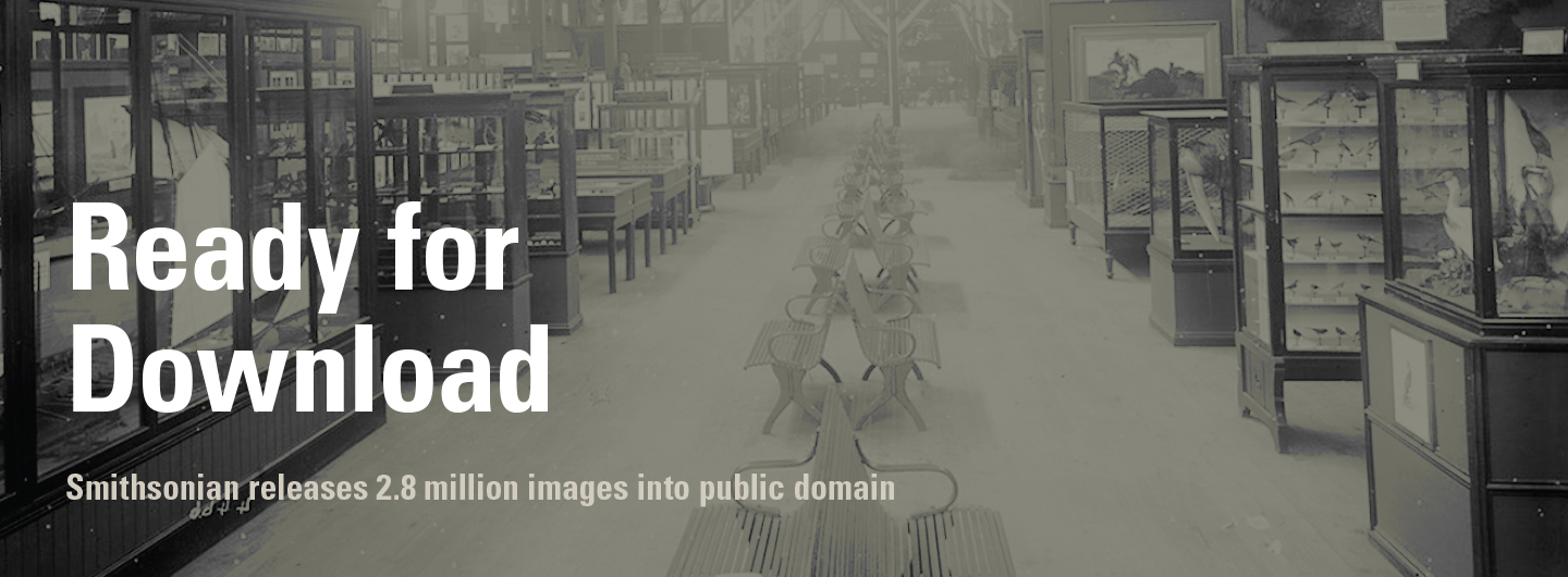 page header page header