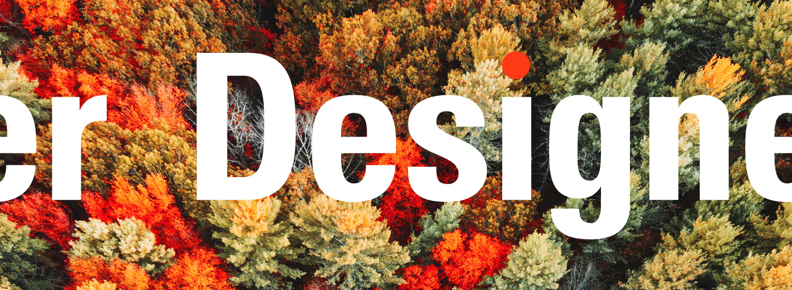 page header page header